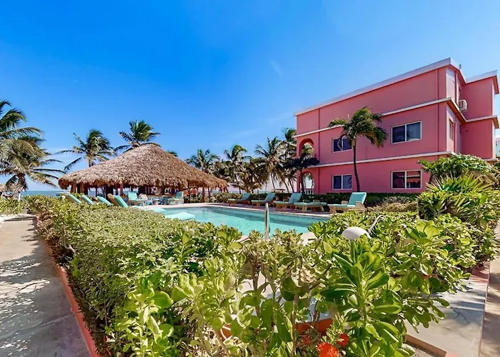 Oleander @ Caribe Island *